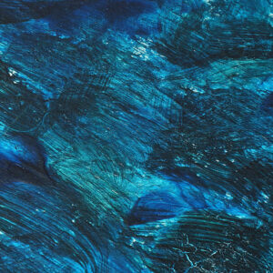 Revue n°1 [Titre de la Revue]